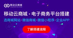微分銷系統(tǒng)的店中店有哪些主要功能？